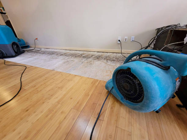 Professional Burst Pipe Water Damage technician working in Valparaiso, NE